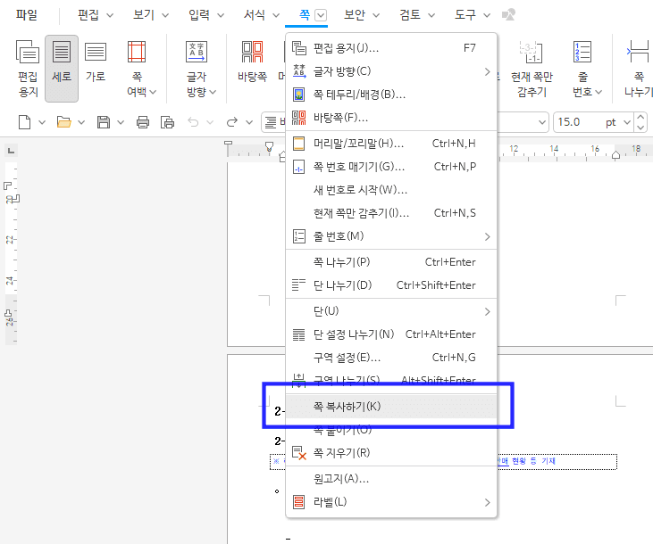 쪽 메뉴의 쪽 복사하기 항목이 파란 상자로 강조되어 있는 화면