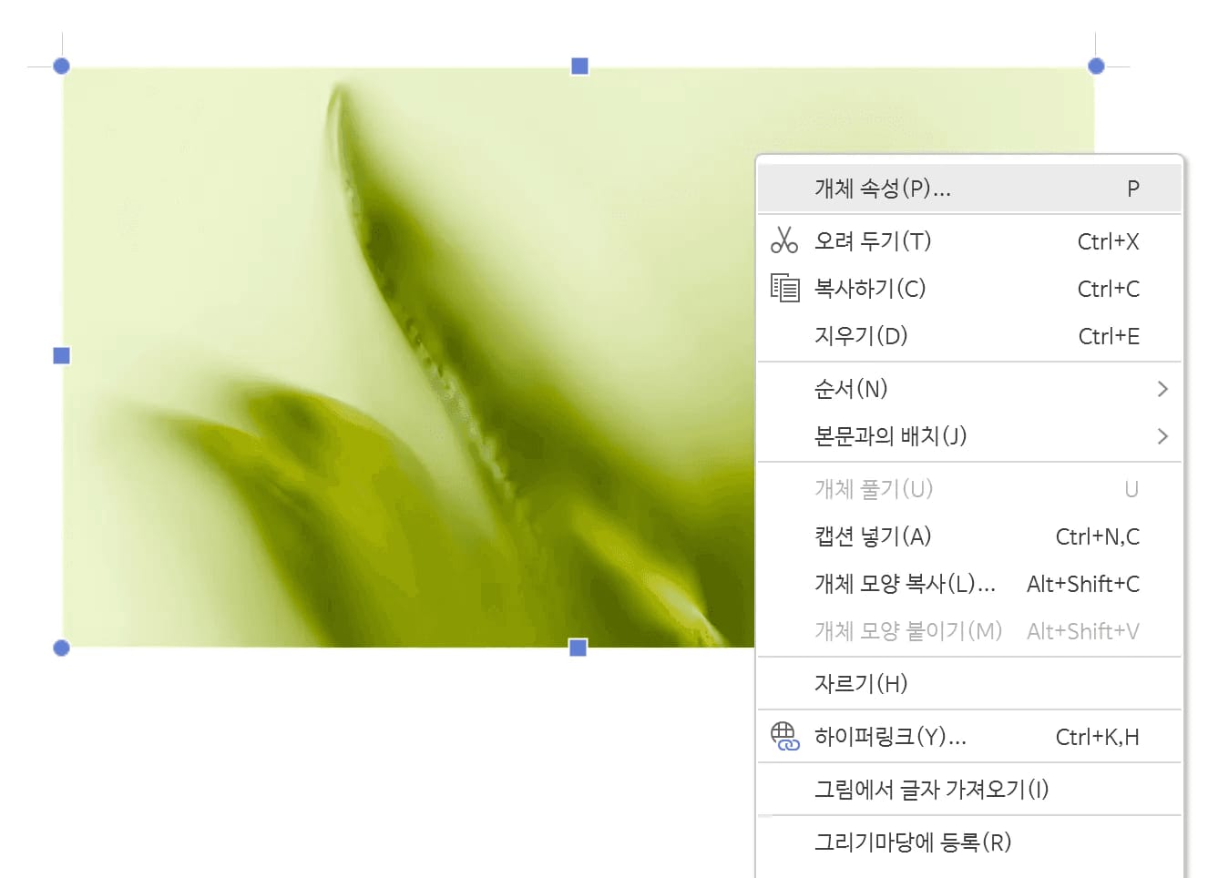 그림을 오른쪽 클릭해 펼친 메뉴의 맨 위에 개체 속성 항목이 있는 화면