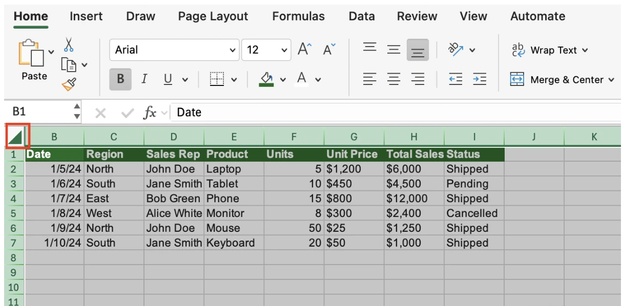 Select All triangle outlined in red with every cell of the sheet selected