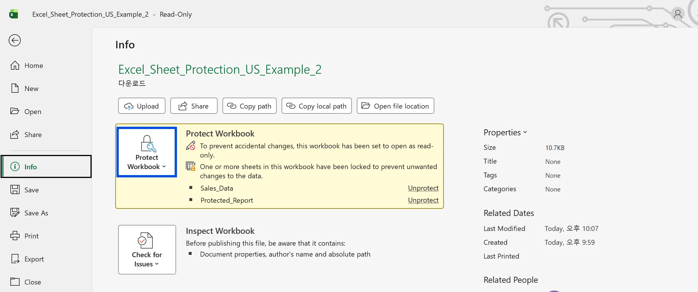Excel File Info page showing Protect Workbook status with Unprotect links for each sheet